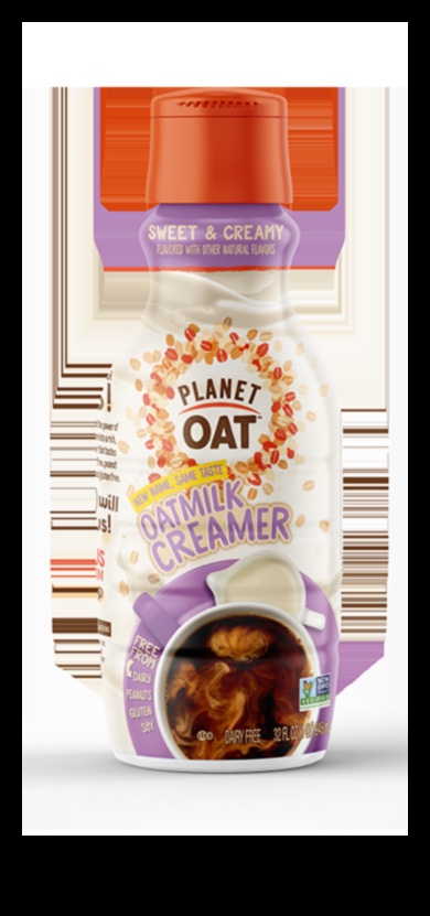 Κρεμώδης άνεση: Ανεβάζοντας τη γαστρονομική σας εμπειρία με γάλα βρώμης