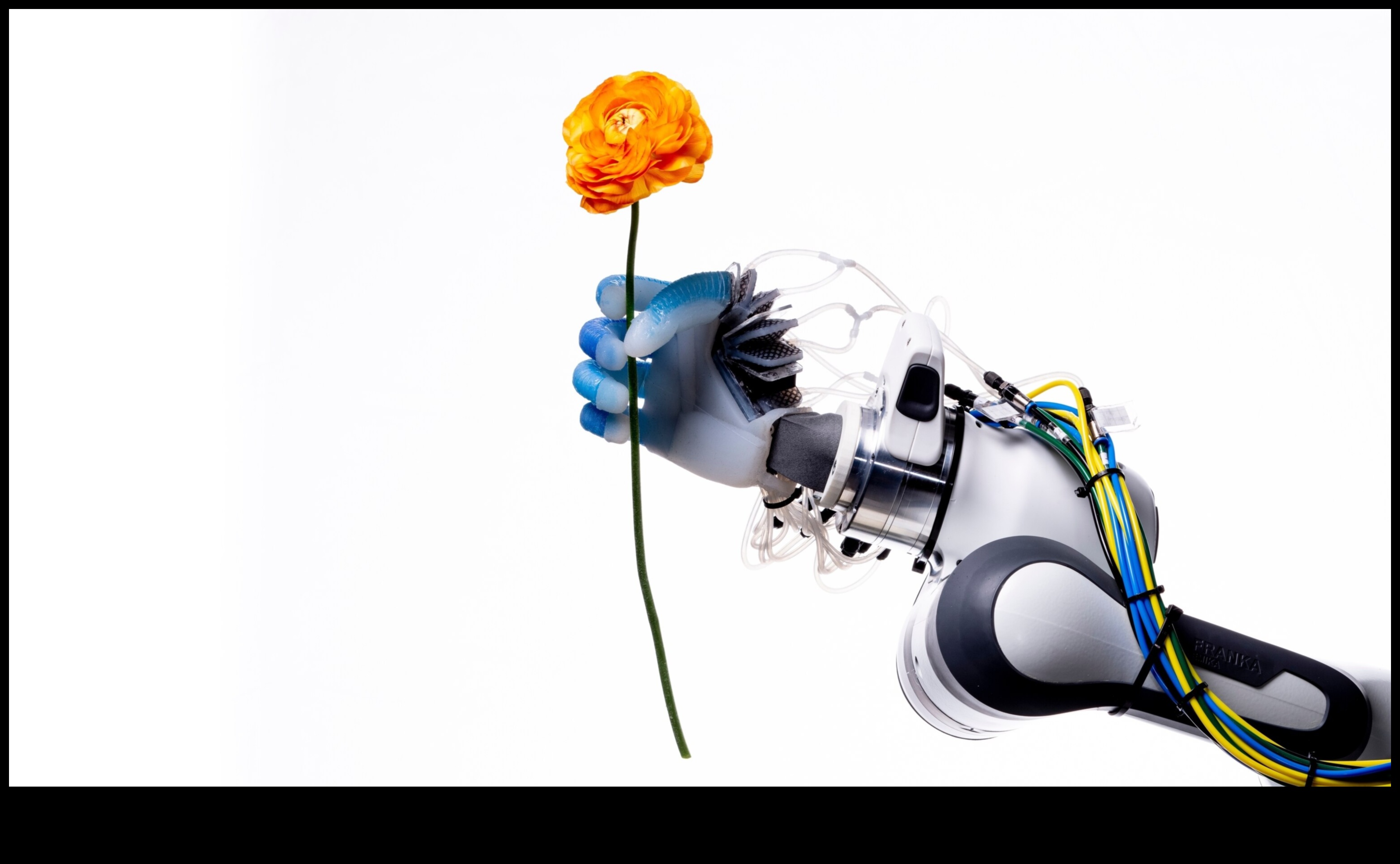 The Robotic Revolution: Shaping the Positive Technological Landscape of Automation