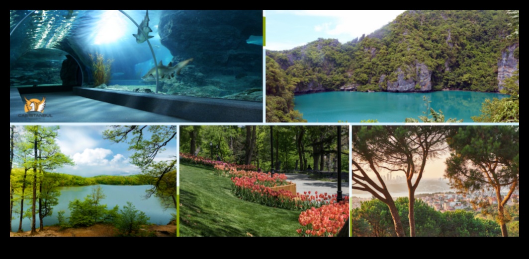 Village Vistas Μια οπτική γιορτή με γοητευτικά τοπικά αξιοθέατα 3 Village Vistas: Μια οπτική γιορτή με γοητευτικά τοπικά αξιοθέατα