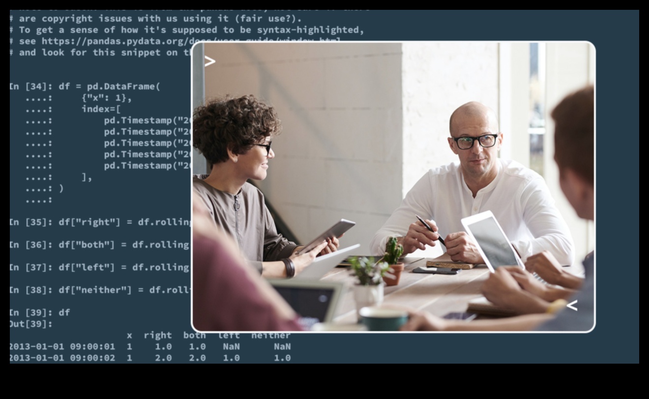 Visual Dialogues: Conversations in Data Science