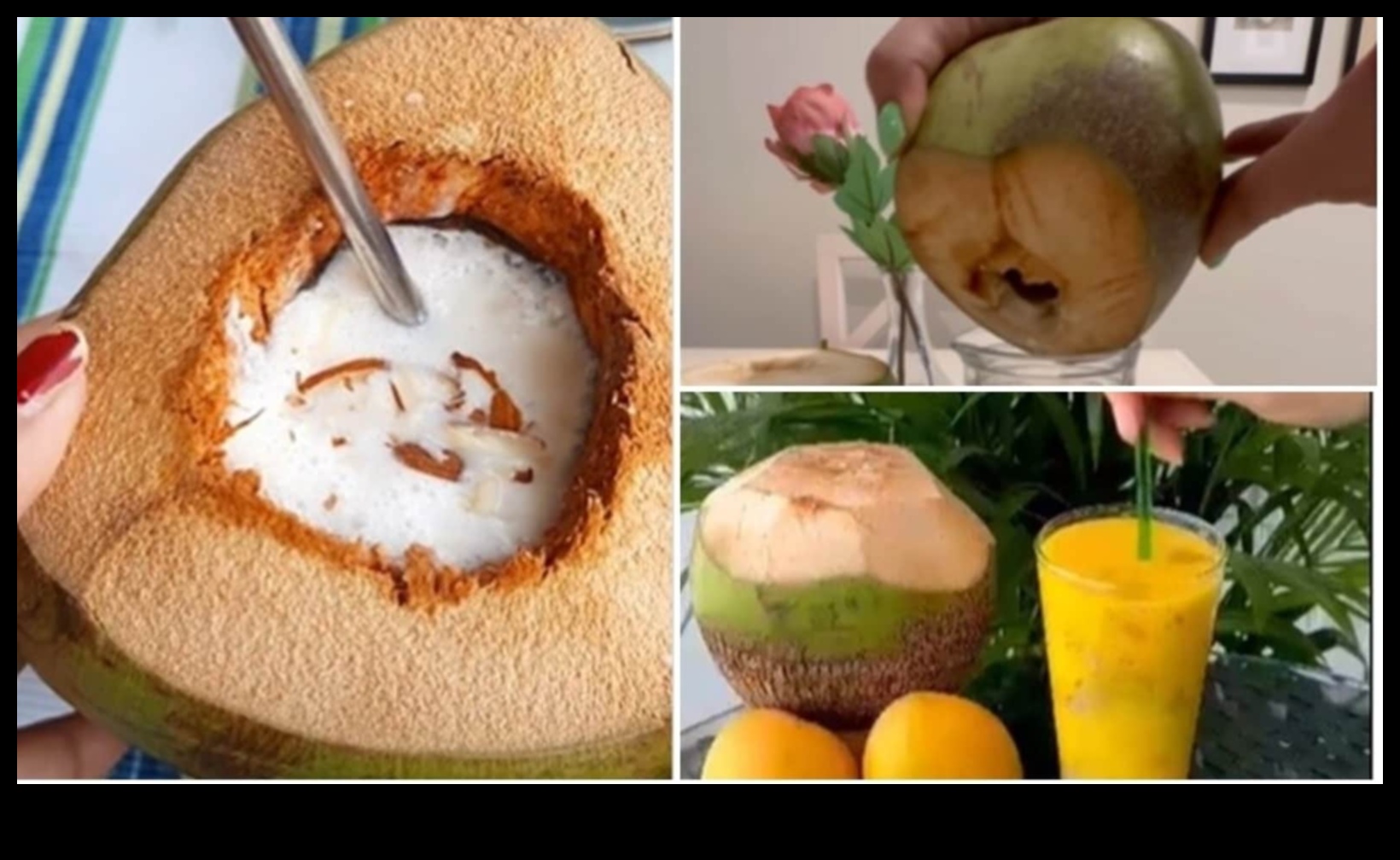 Fresh Sips Ένας οδηγός για τη δημιουργία των τέλειων μιγμάτων νερού καρύδας 3 Fresh Sips: Ένας οδηγός για τη δημιουργία τέλειων μιγμάτων νερού καρύδας