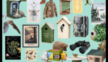 Animal Adventure: Δώρα εμπνευσμένα από την άγρια ​​ζωή για τους λάτρεις των ζώων