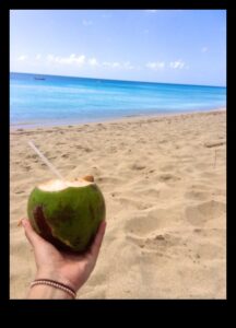 DIY Coconut Adventures: Δημιουργία μοναδικών και γευστικών σκευασμάτων ενυδάτωσης