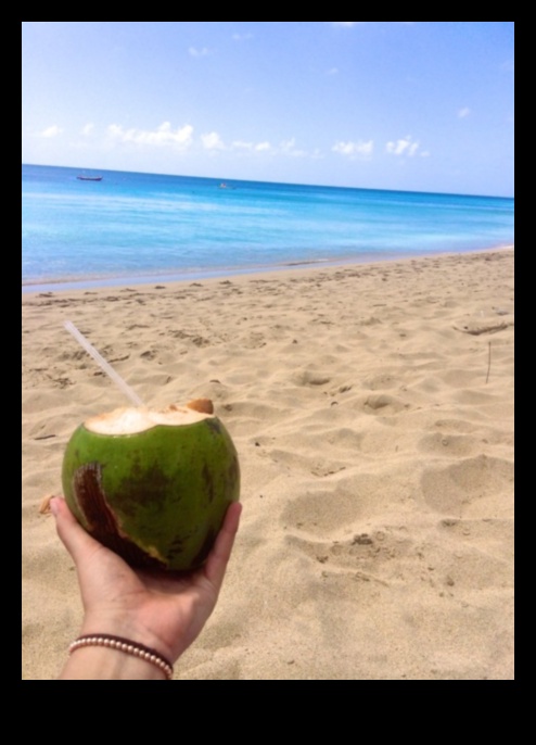 DIY Coconut Adventures: Δημιουργία μοναδικών και γευστικών σκευασμάτων ενυδάτωσης