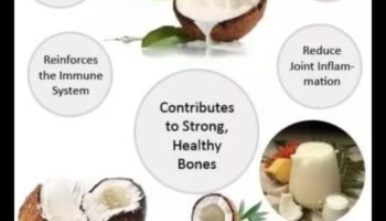 Αγνό και υγιεινό: Απολαμβάνοντας την ουσία της καλοσύνης του γάλακτος καρύδας
