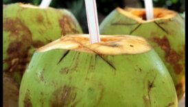 Τροπικό αναψυκτικό: Ξεκλειδώνοντας τα μυστικά του νερού καρύδας