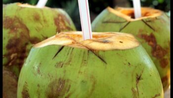 Τροπικό αναψυκτικό: Ξεκλειδώνοντας τα μυστικά του νερού καρύδας